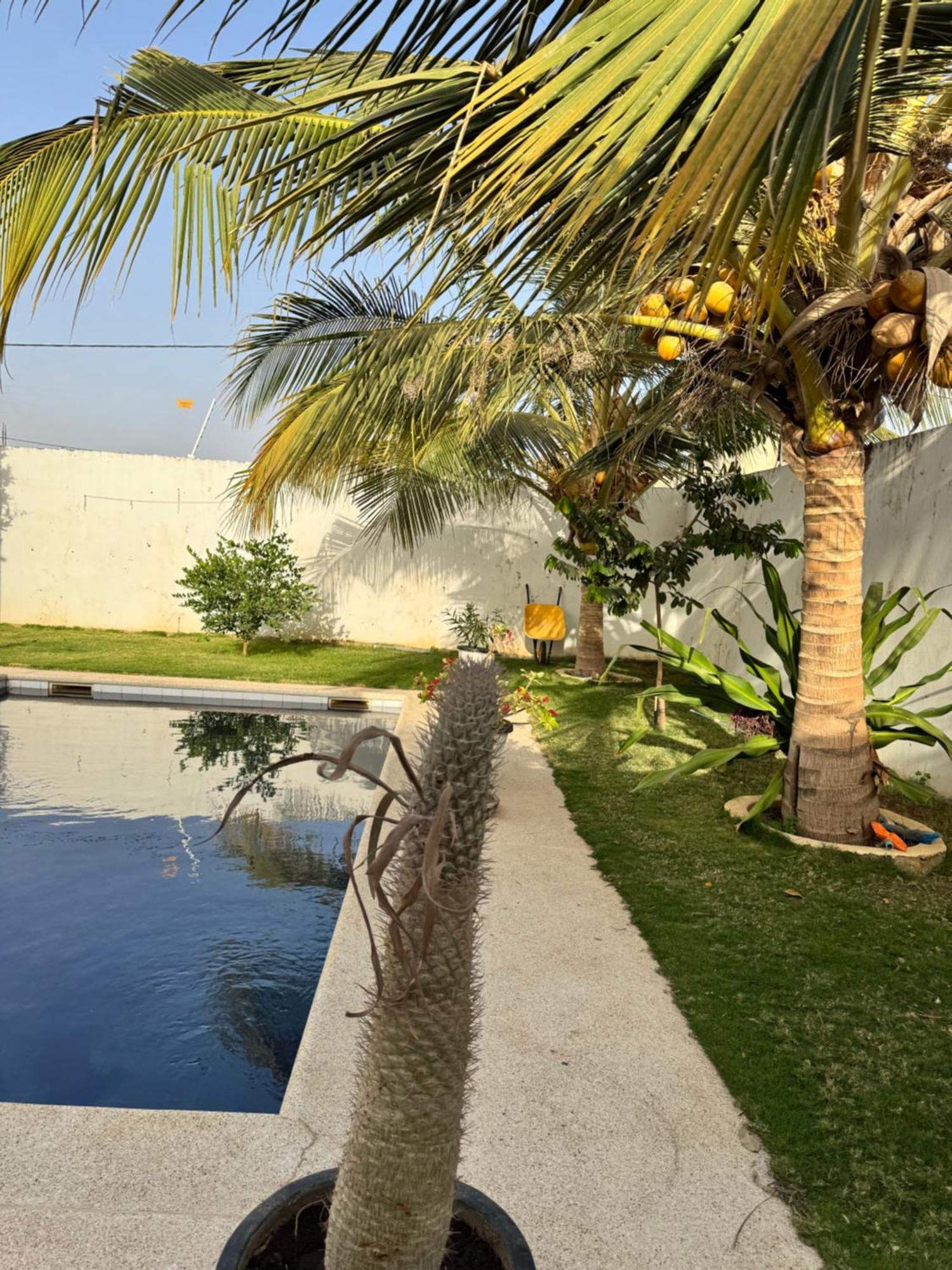 La Baraka, Extravagant Villa For 8 With Pool In Saly Gandigal Exterior foto